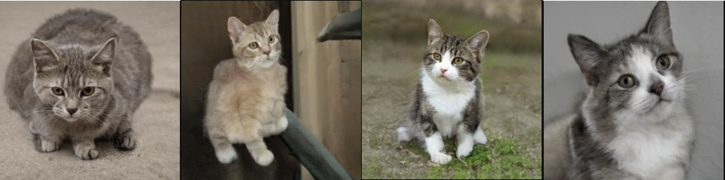 Cats generated with our StyleGAN2 workflow.