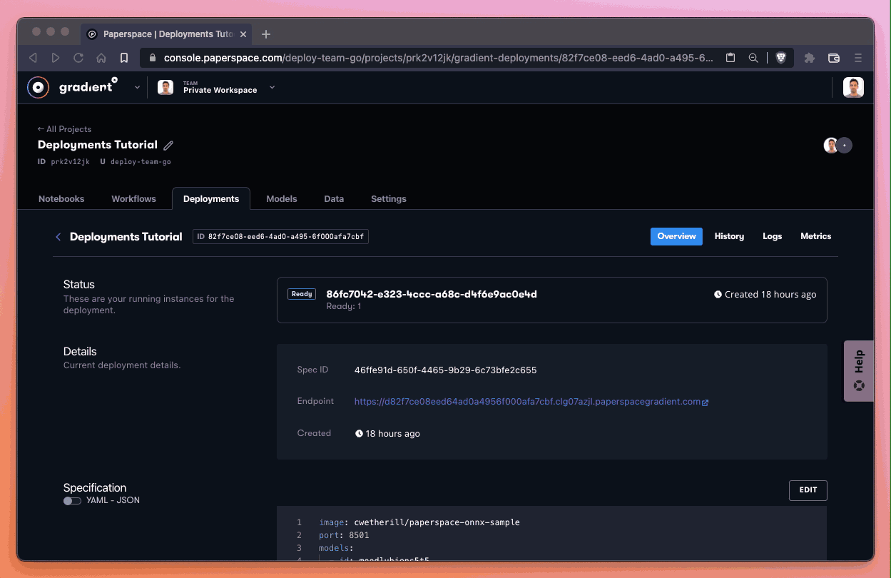 When the Deployment reaches the Ready state, we can visit &lt;endpoint&gt;/healthcheck to read the status of the model serving computer.