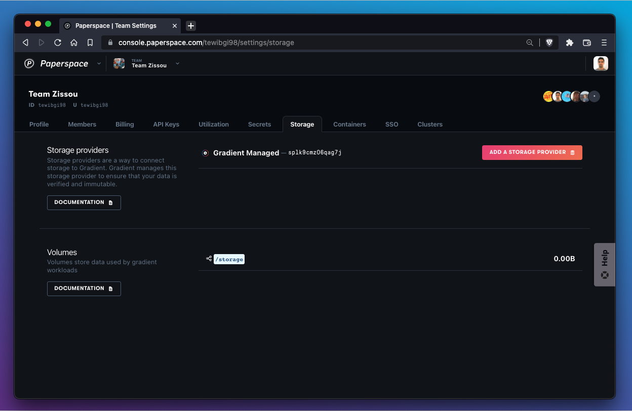 A new team that has yet to upload data will have nothing to display in the Storage tab in team settings.