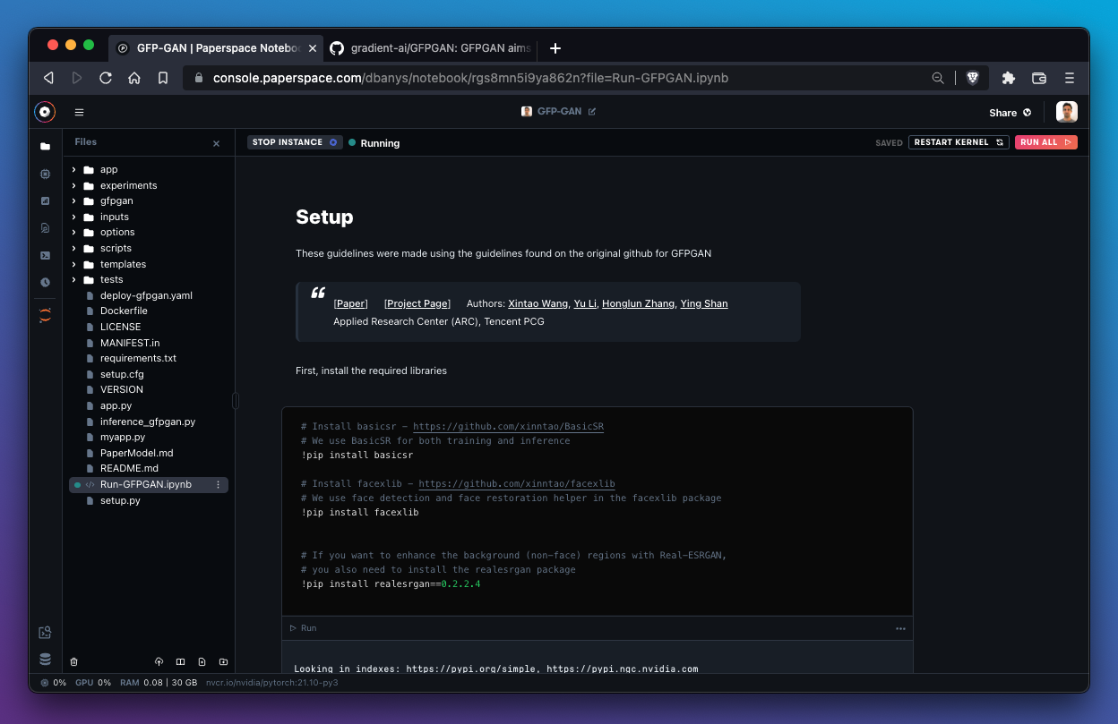 GFPGAN files have successfully imported into the notebook.