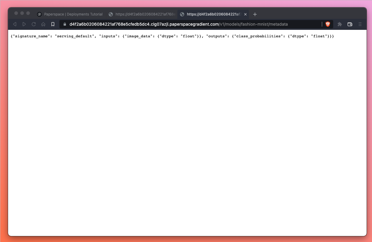 When we visit &lt;endpoint&gt;/v1/models/fashion-mnist/metadata, we&#39;re able to inspect the request/response formats that our endpoint expects.