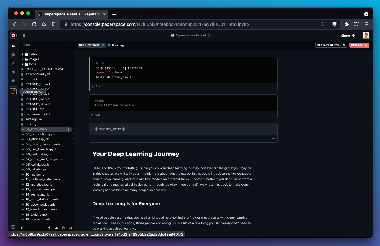 The file manager for Gradient Notebooks lives in the left sidebar.
