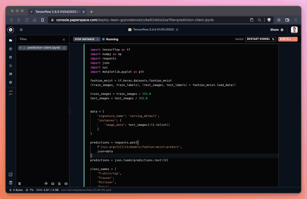 After we paste our unique Deployment endpoint into the notebook prediction request parameter, we can run the cell. We should then be able to generate a prediction!