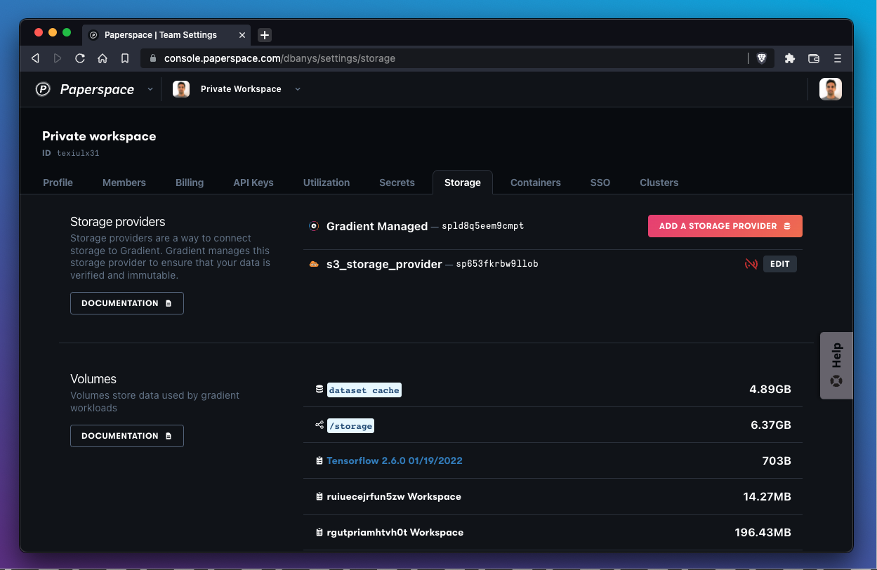 A team that has uploaded data will see a summary of storage volumes in the Storage tab.