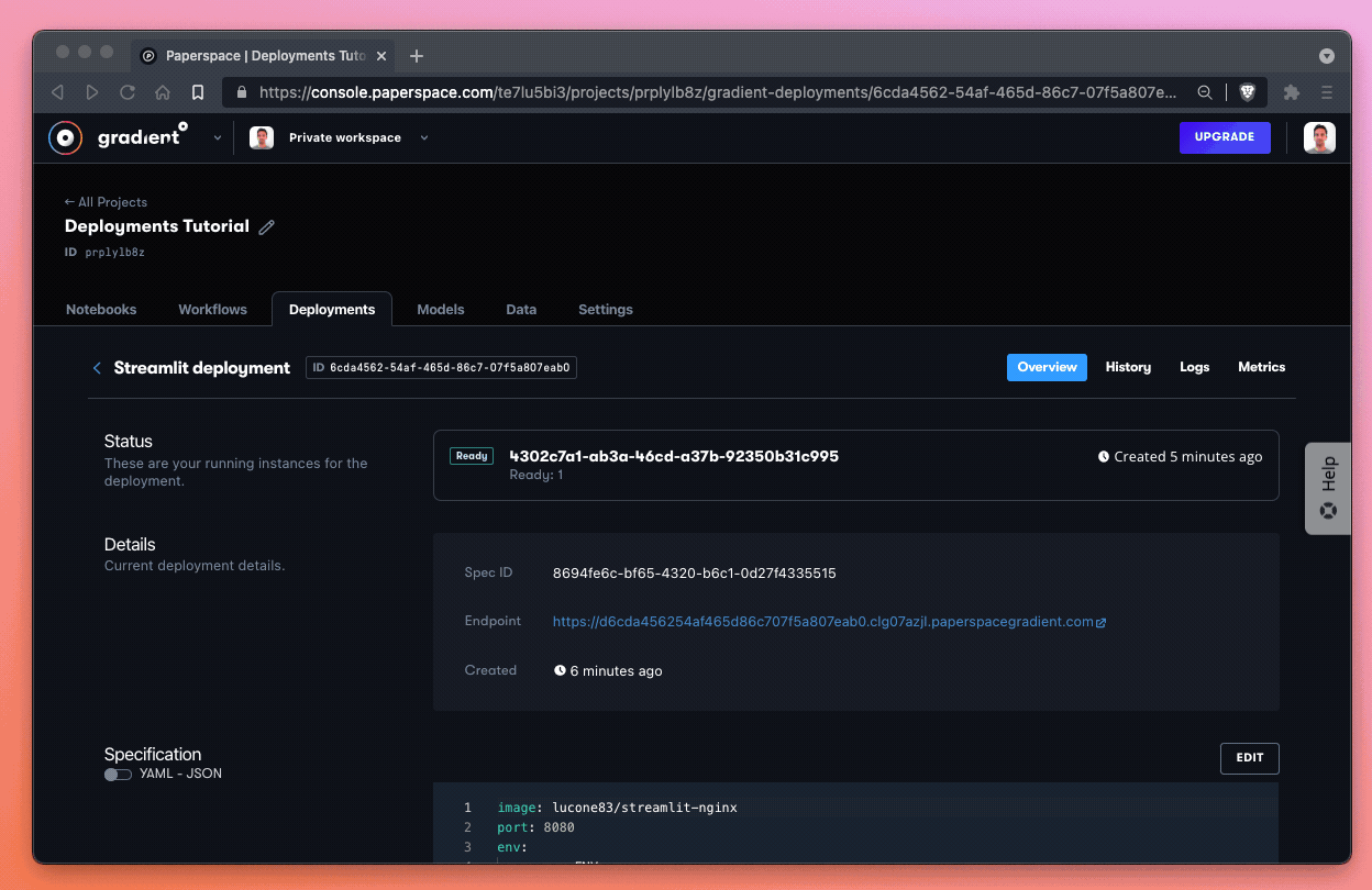 Loading Streamlit on our Gradient endpoint.