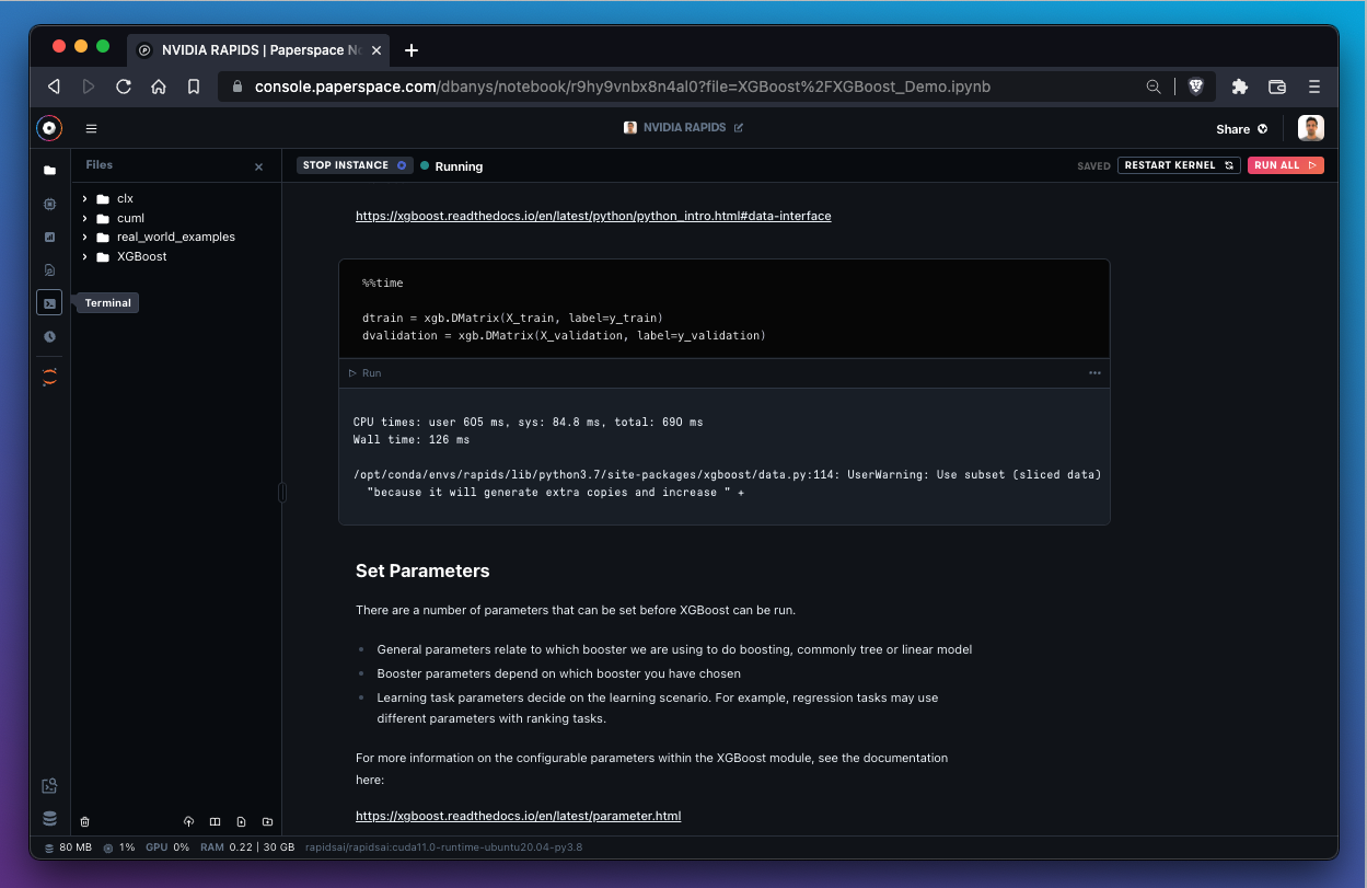 The Terminal button on the left sidebar provides terminal access.
